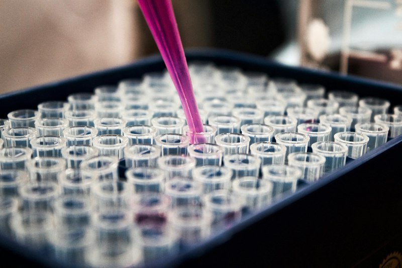 Aquaculture Feed Testing and Water Quality Management